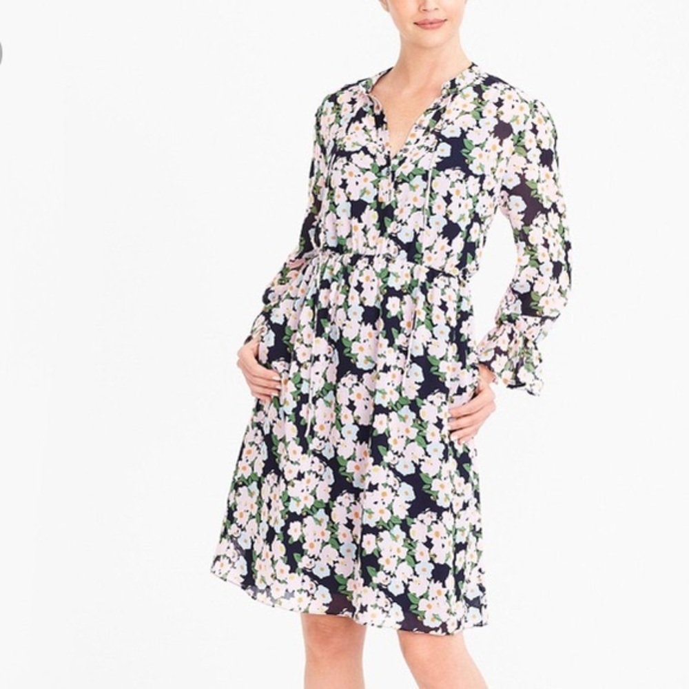 J Crew Mercantile Drapey Tie Front Dress In French Floral Chiffon